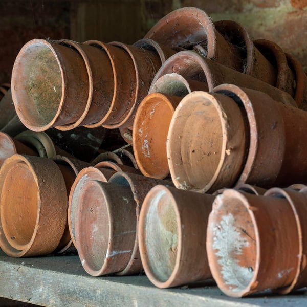 Clay pots in an old potting shed