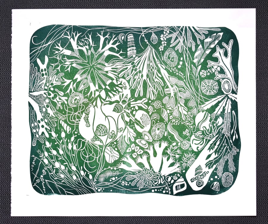 Original lino cut print NEW ENGLAND BAY ROCKPOOL shell beach seaweed