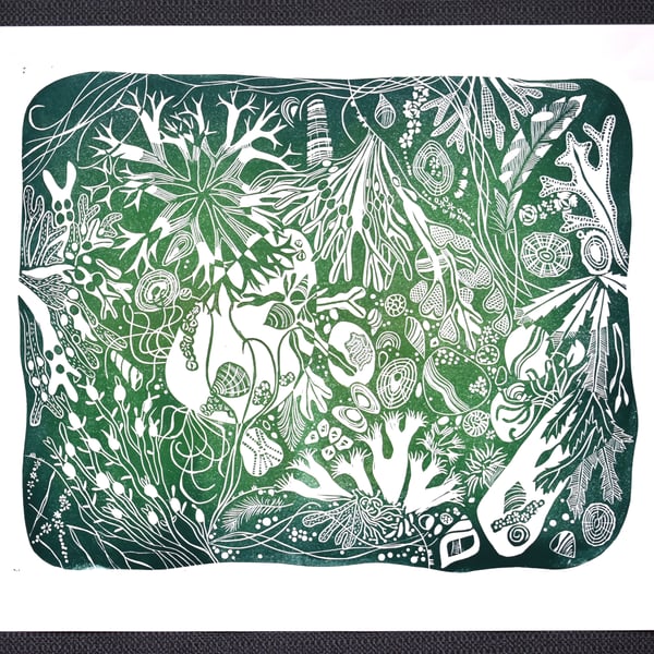 Original lino cut print NEW ENGLAND BAY ROCKPOOL shell beach seaweed