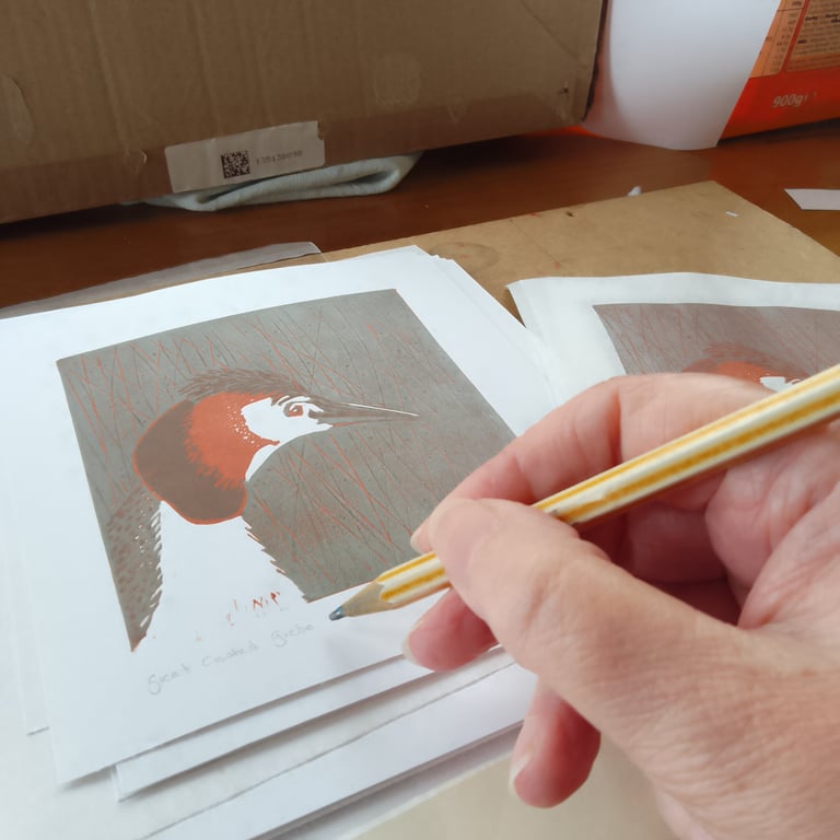 Limited edition mini reduction linoprint great crested Grebe 