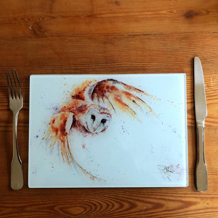 Barn Owl Glass Placemat, Wildlife Design Table Mat, Glass Trivet, Hot Plate, Wat