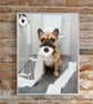 Funny A4 Bathroom Wall Prints