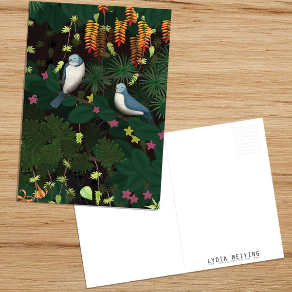 Jungle Birds, Postcard with Birds Illustration