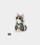 Funny Novelty Vinyl Sticker - Cute Cat Sitting
