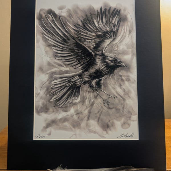 Raven in Flight 1 - an A3 or A4 signed print of an original drawing