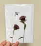 Real Pressed Wildflower, Knapweed, Bee Handmade Card - Image 3