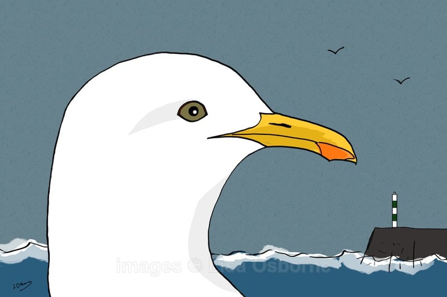 Gull. Signed print. Digital illustration. Birds. Wildlife. Sea. Coast
