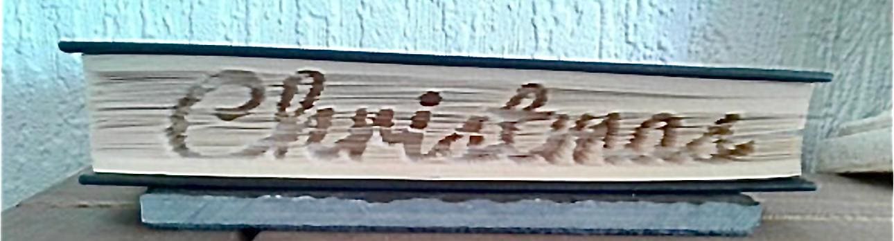 Christmas sideways CUT & FOLD Book Folding Pattern - EMAILED PDF PATTERN