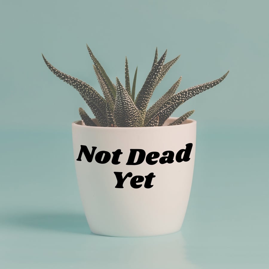 Not Dead Yet Plant Pot Vinyl Sticker - Funny Positive Plant Gift, Quote Decor, H