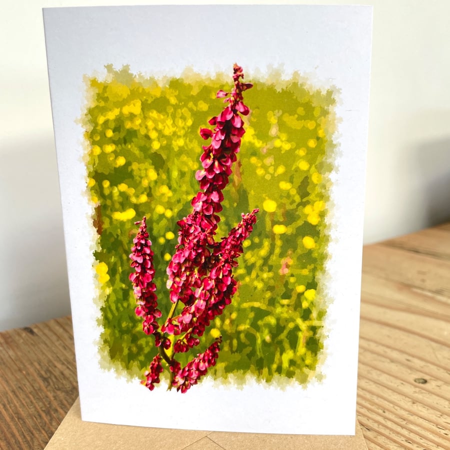 Blank Card A6 Portrait - Common Sorrel