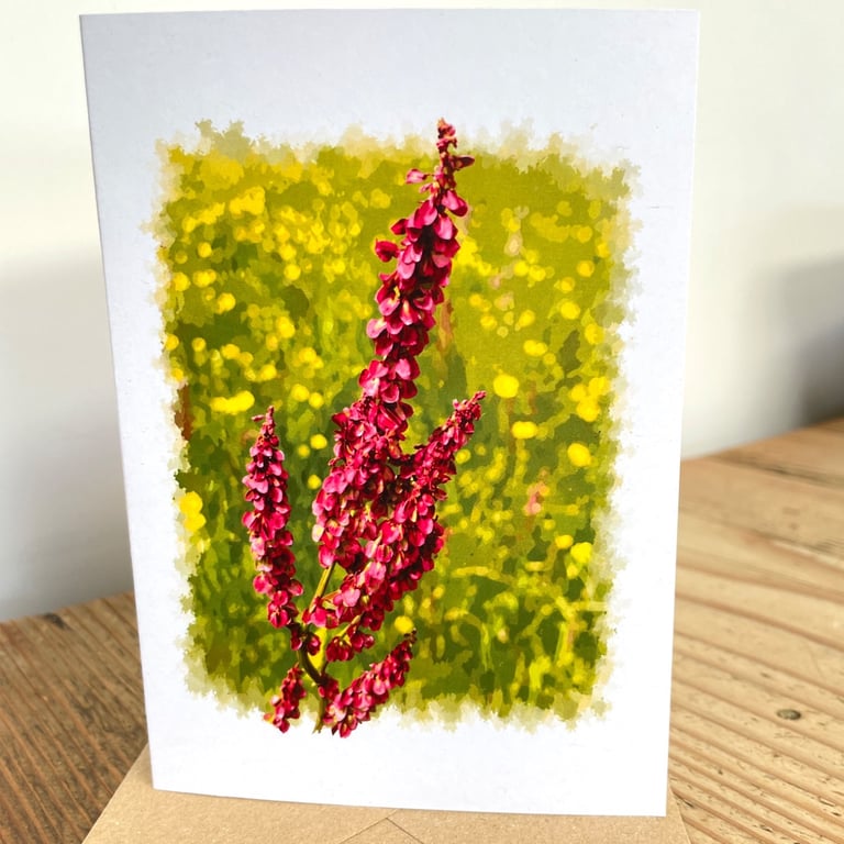 Blank Card A6 Portrait - Common Sorrel