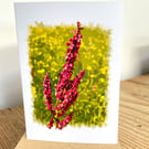 Blank Card A6 Portrait - Common Sorrel