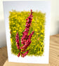 Blank Card A6 Portrait - Common Sorrel