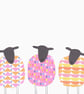 Three Patterned Sheep Blank or Birthday Card - Image 5