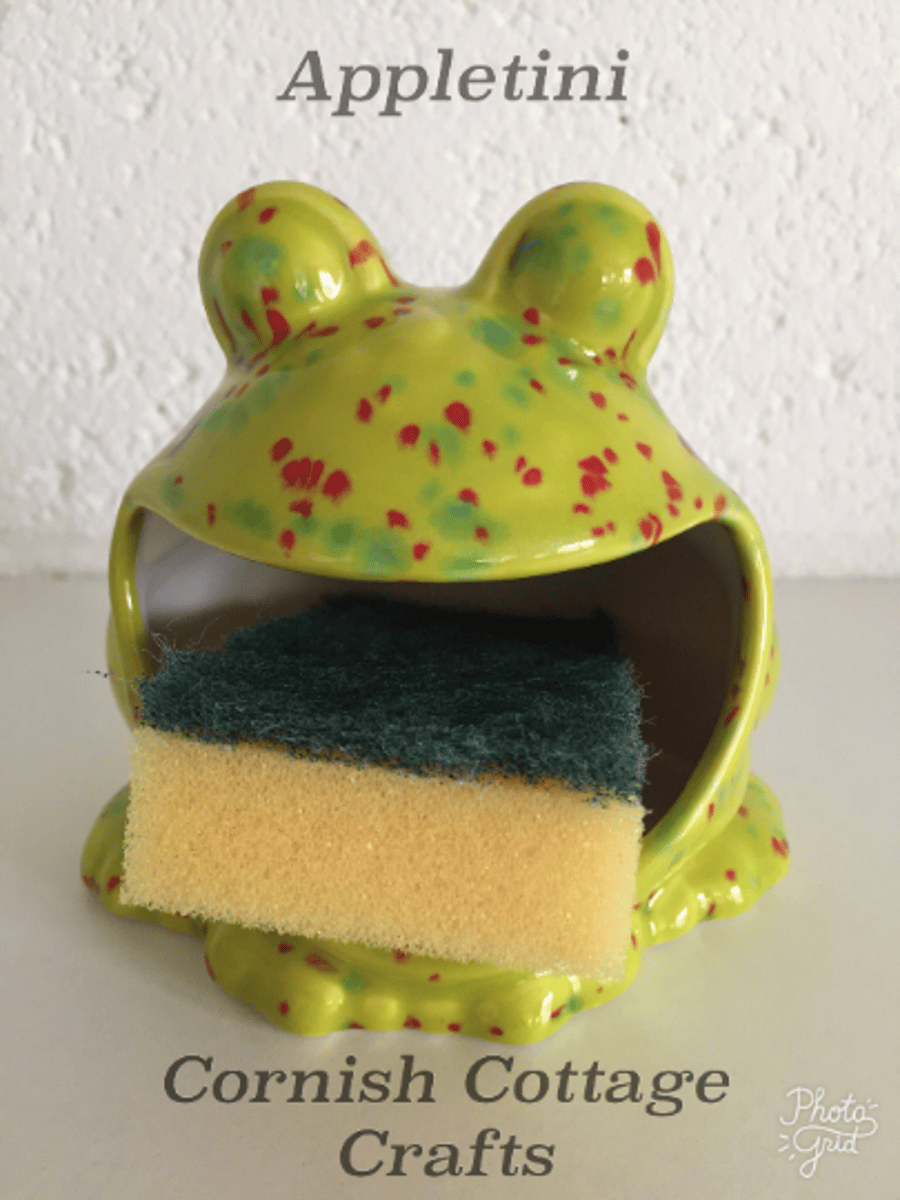 Frog sponge holder, kitchen decor, scrubby holder, soap holder housewarming gift
