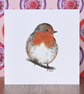 Robin Blank Card, Christmas Card - Image 1