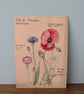 British meadow wildflowers mini print 