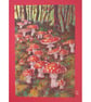 Fairy Toadstool Woodland Grove, original landscape art, small mushroom drawing