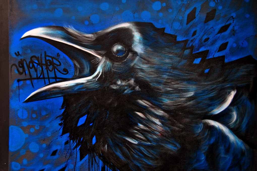 Crow Graffiti Street Art Camden London Photograph Print