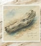 Weathered By The Sea Driftwood Card. Coastal Card - Image 4