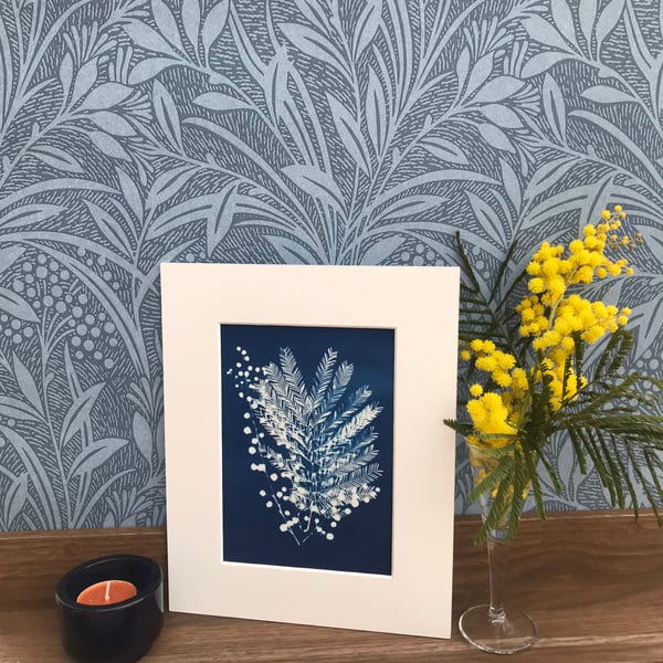 Botanical Art, Mimosa, one for the Women, in Cyanotype Artwork