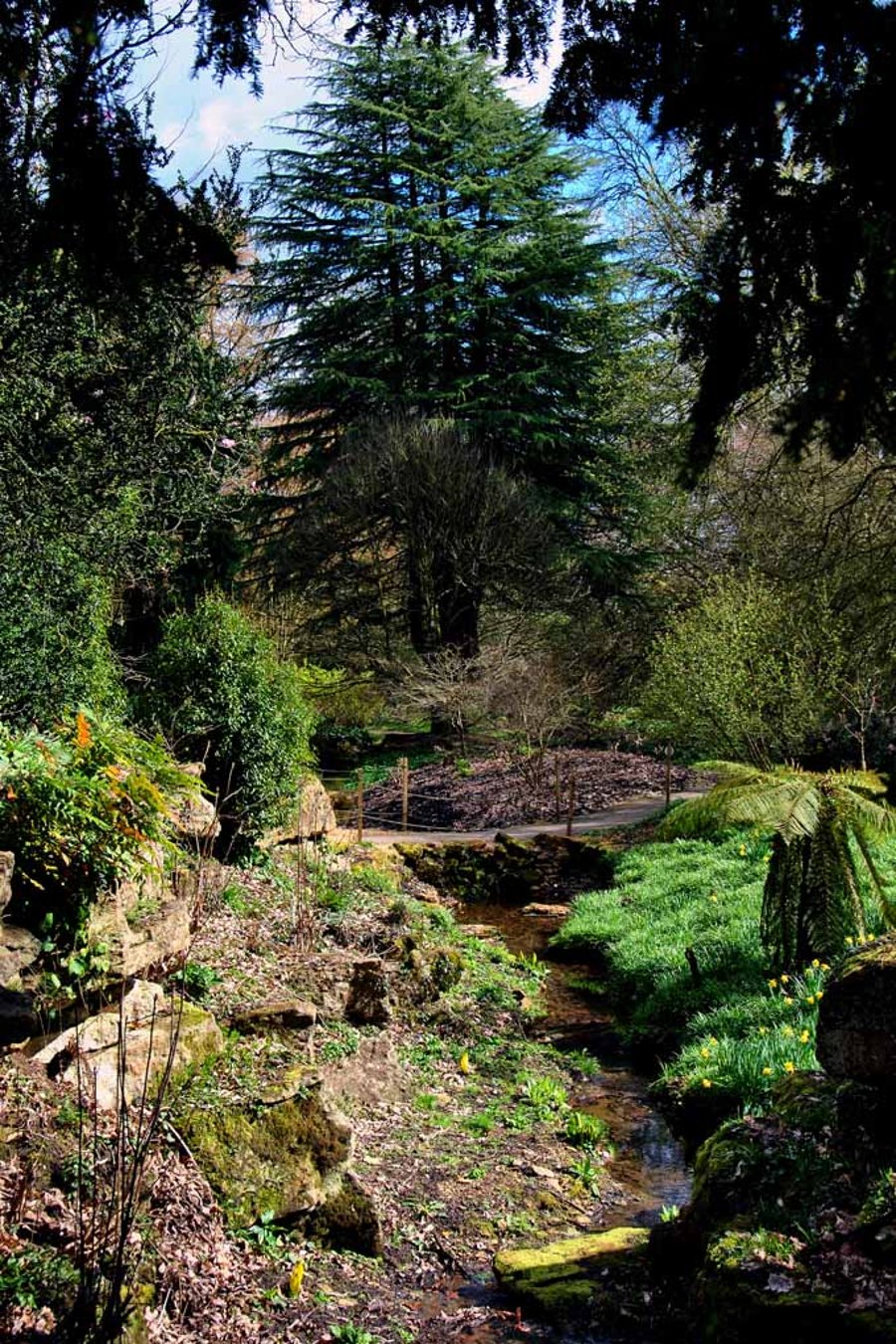 Batsford Arboretum Cotswolds Moreton In Marsh Photograph Print