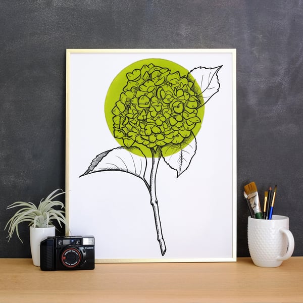 Minimalist Light Green Hydrangea Flower Illustration Fine Art Print