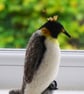 Needle Felted Emperor Penguin and Chick - Image 2