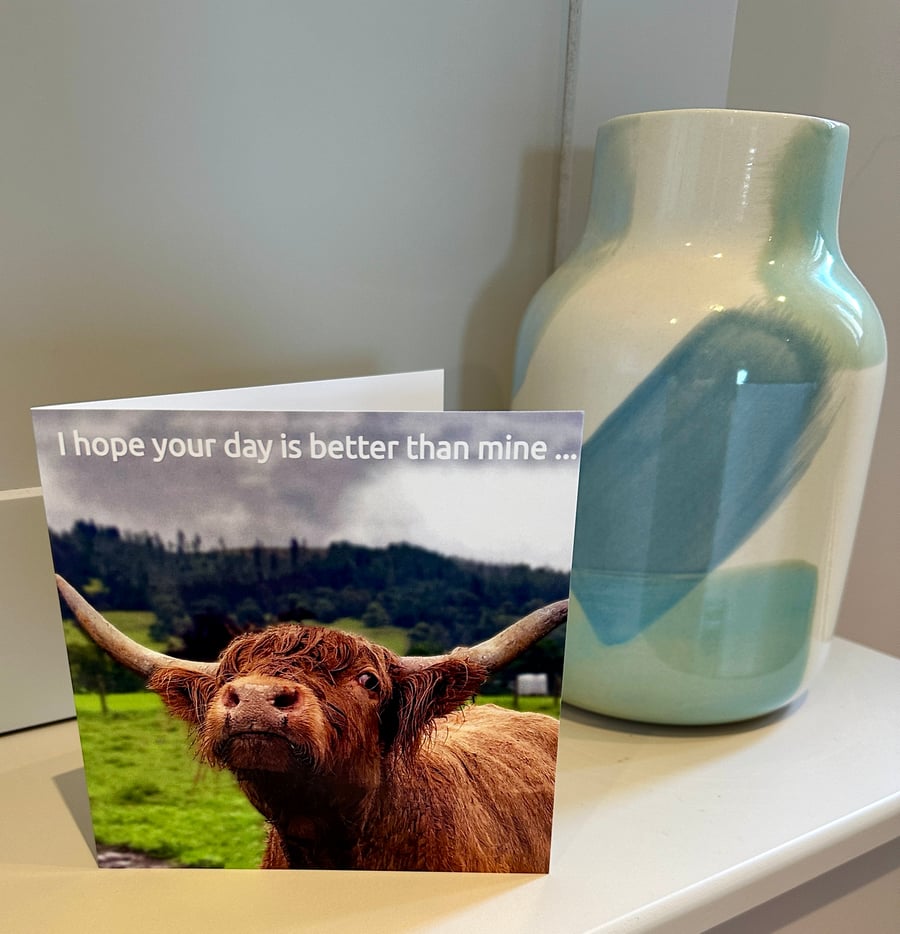 Greetings Card. Highland Cow in the rain. Blank for your own message 