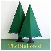 TheBigForest