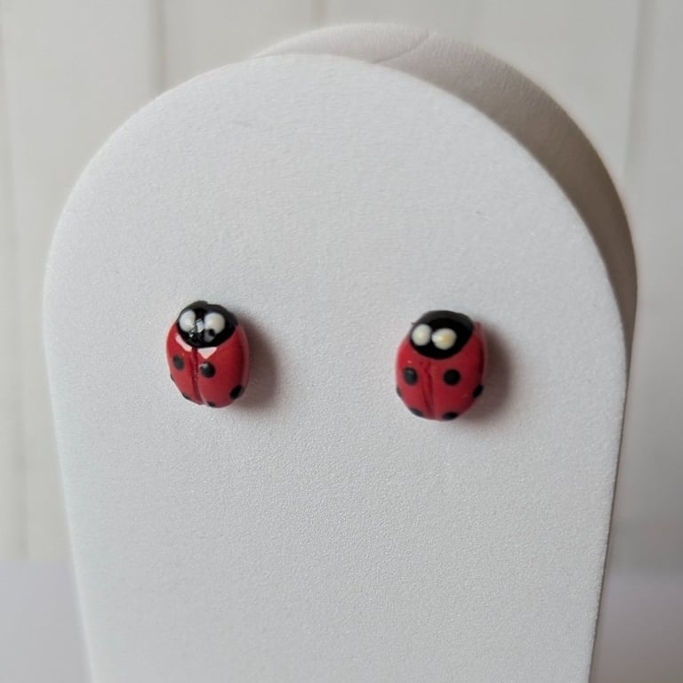 Cute little ladybird studs