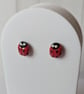 Ladybird studs
