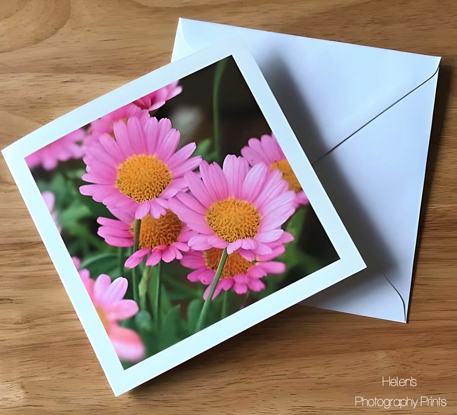 Pretty Pink Daisies Greeting Card, Flower Photography, Blank Inside, Square Card