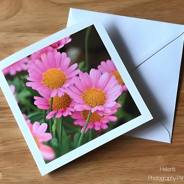 Pretty Pink Daisies Greeting Card, Flower Photography, Blank Inside, Square Card