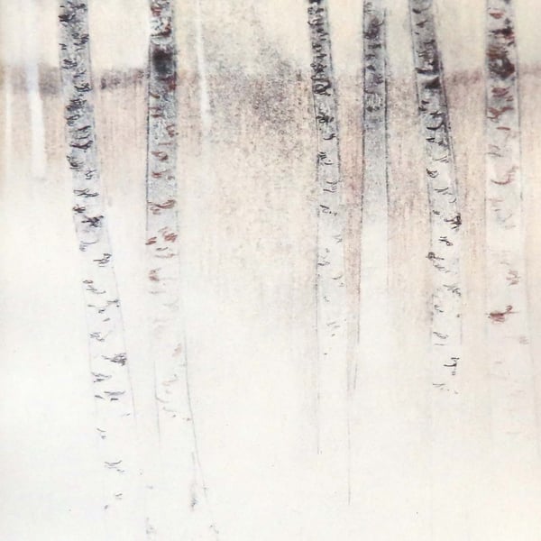 Silver birch study II new forest in winter blank card plastic free