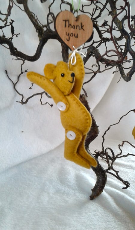 Sweetheart bear, a little bear with a big message.