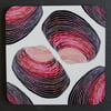 Venus Clam Coaster