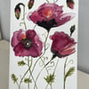 Dark red poppies hand painted watercolour
