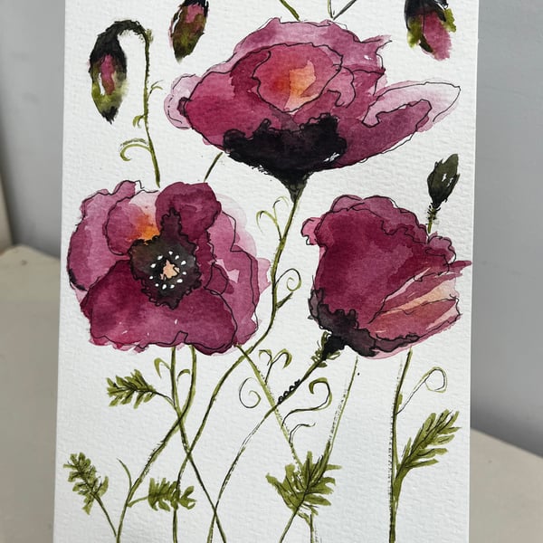 Dark red poppies hand painted watercolour