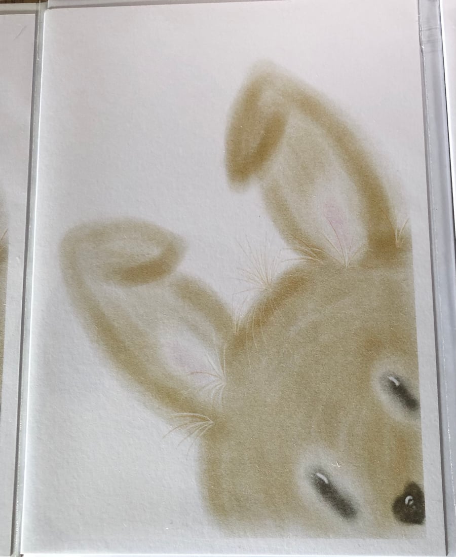 Pack of Three Peeking Bunnies Blank Cards