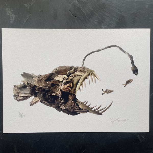Driftwood Angler Fish Giclee Print, Fish Art, A5
