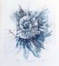 Blank greeting card art no.100 from the ammonites etching project cello free - Image 2