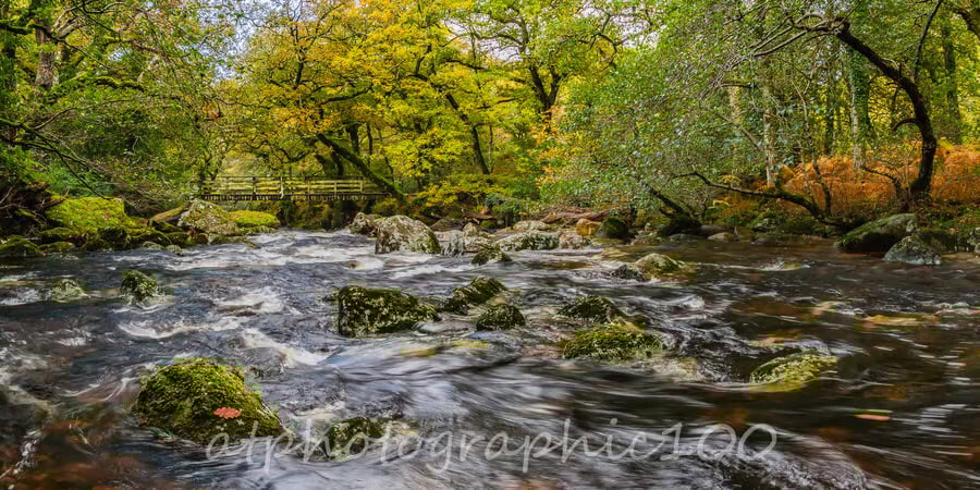 Panoramic photo print - The Footbridge over the  River Plym, Shaugh Prior, Devon