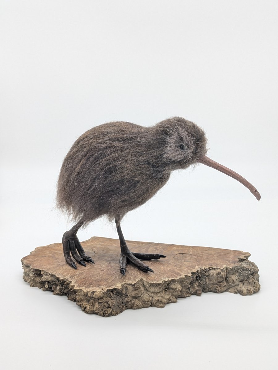 Felted Kiwi Bird 