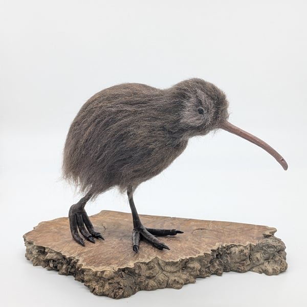 Felted Kiwi Bird 