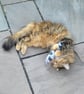 Catnip Kicker Cat Toys Mice design - Image 3