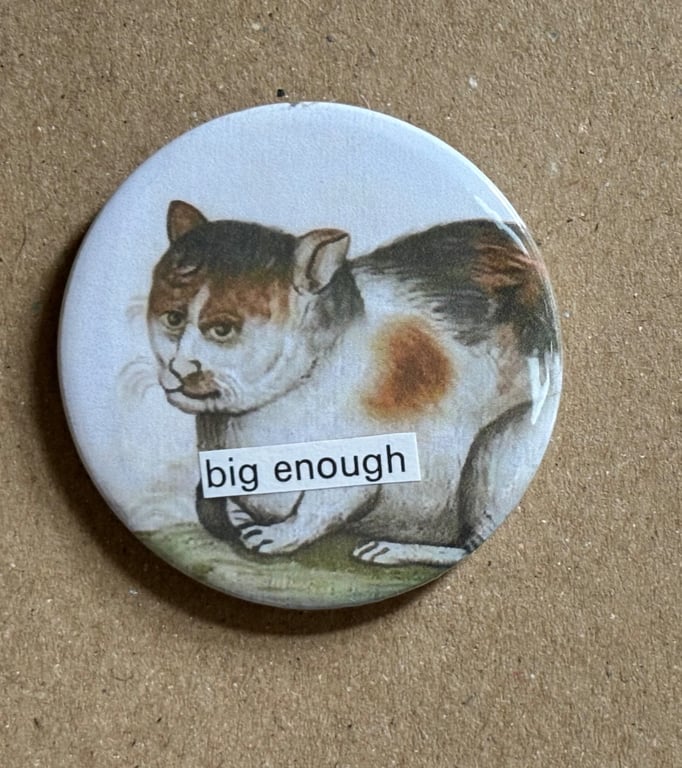 Collage pin badge - medieval cat meme - big enough