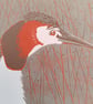Limited edition mini reduction linoprint great crested Grebe  - Image 4