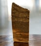 Handcrafted Red Oak Coastal Wooden Display Plaque with Sea Shells & Driftwood  - Image 7