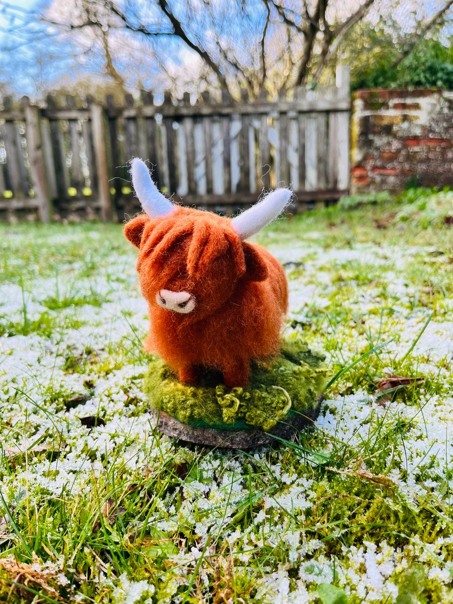 Bessie the needle felted Highland Cow - countryside gift - Handmade Coo 